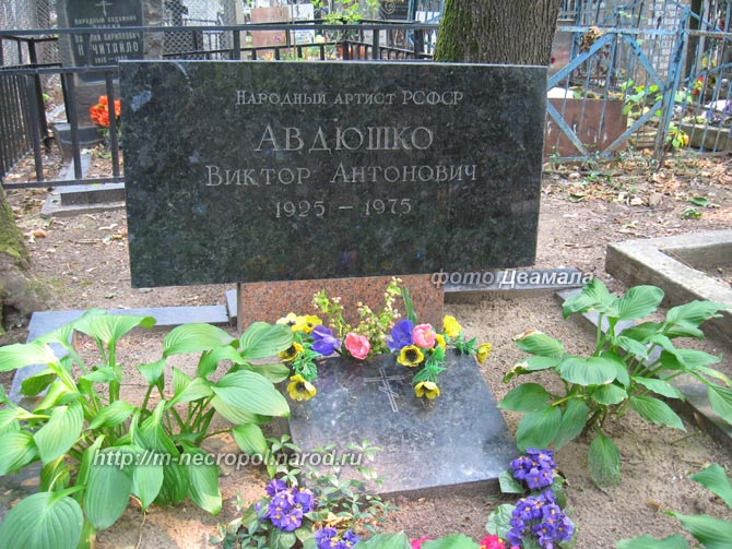 могила В. А. Авдюшко, фото Двамала вар. 2010 г.