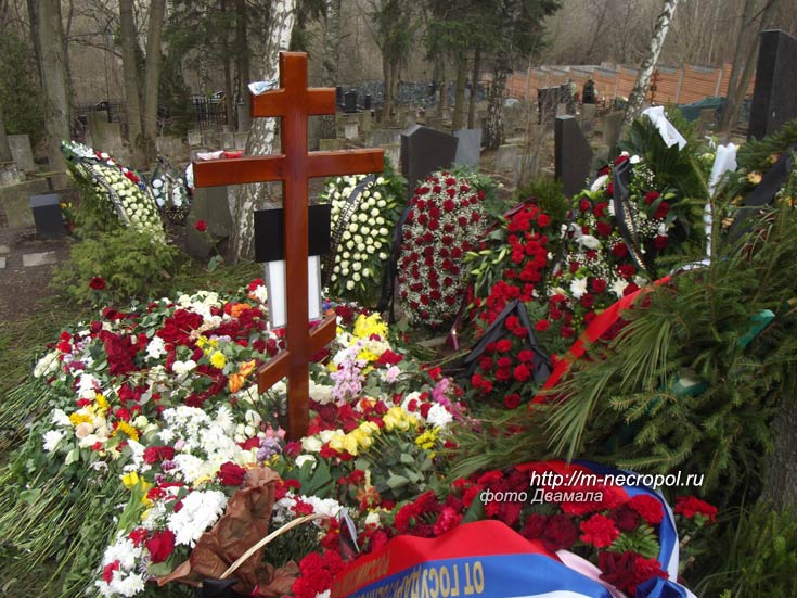 фото Д, 12 апреля 2017 г. снимок с могилы Виктора Бокова