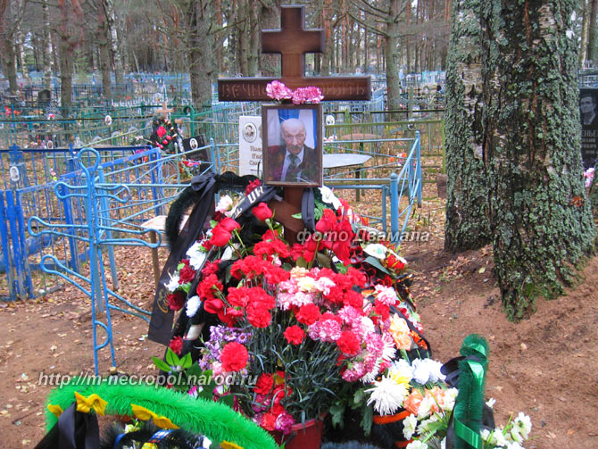 могила В.И. Головина, фото Двамала, 30 октября 2010 г.