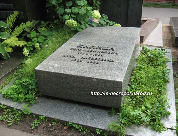 могила Петра Капицы, фото Двамала, вариант 2009 г.