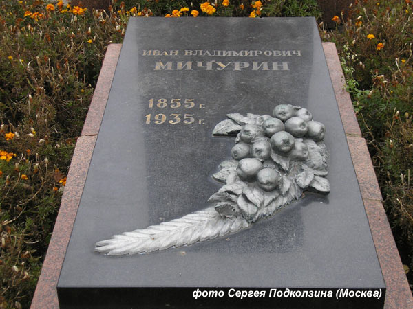 могила И.В. Мичурина, фото Сергея Подколзина октябрь 2008 г. г.