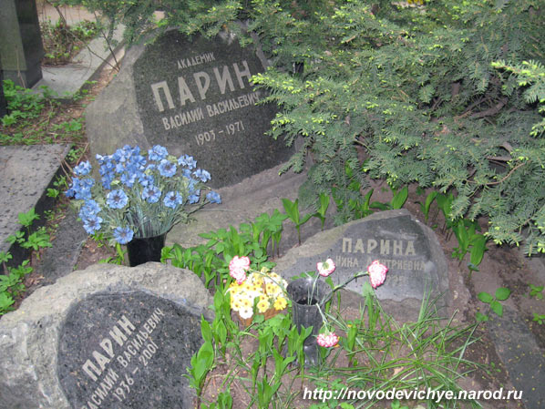 могила В. В. Парина, фото Двамала вар. 2008 г.