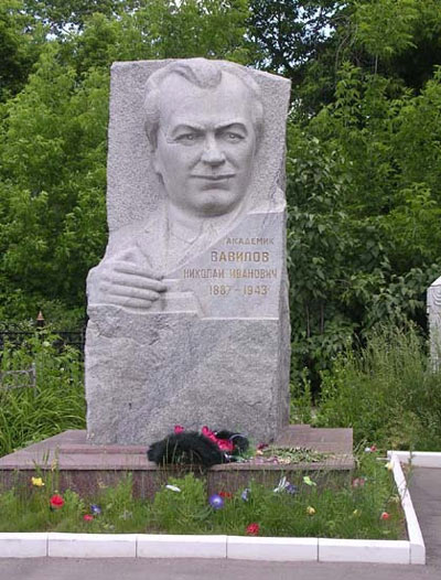 предполагаемая могила Николая Вавилова, фото Антона Кизяковского